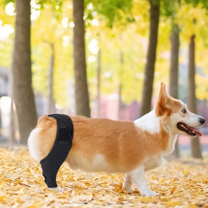 Adjustable Dog Knee Pads
