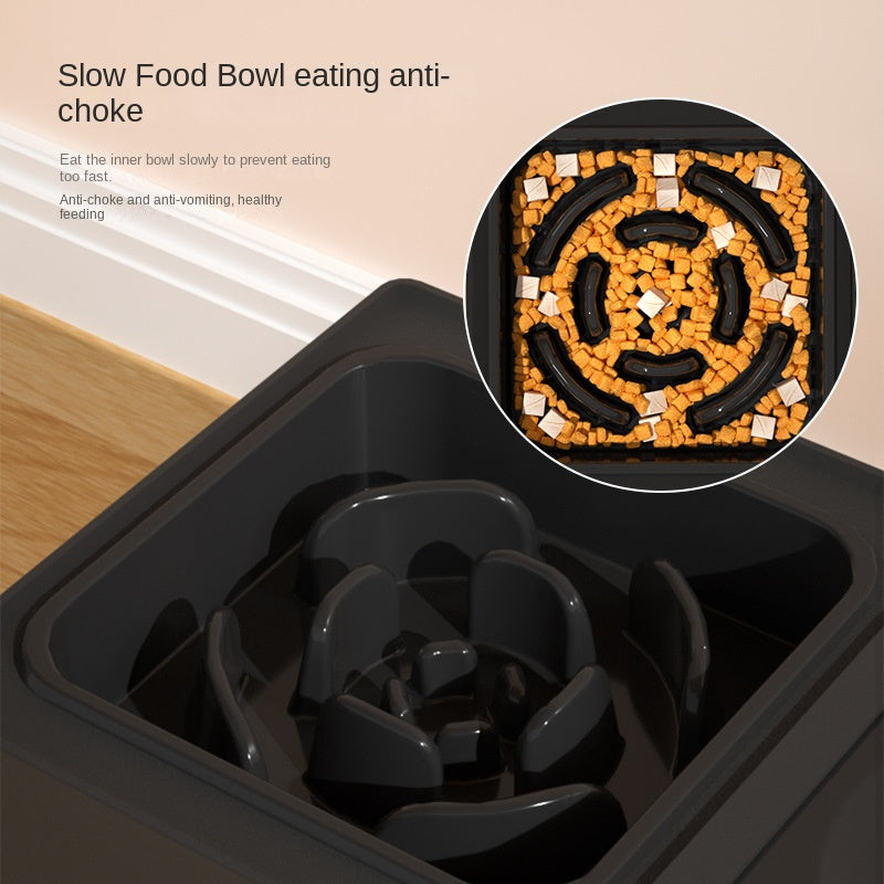 Adjustable Elevated Dog Double Bowls