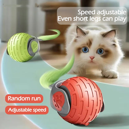 Smart Automatic Rolling Ball Cat Toy