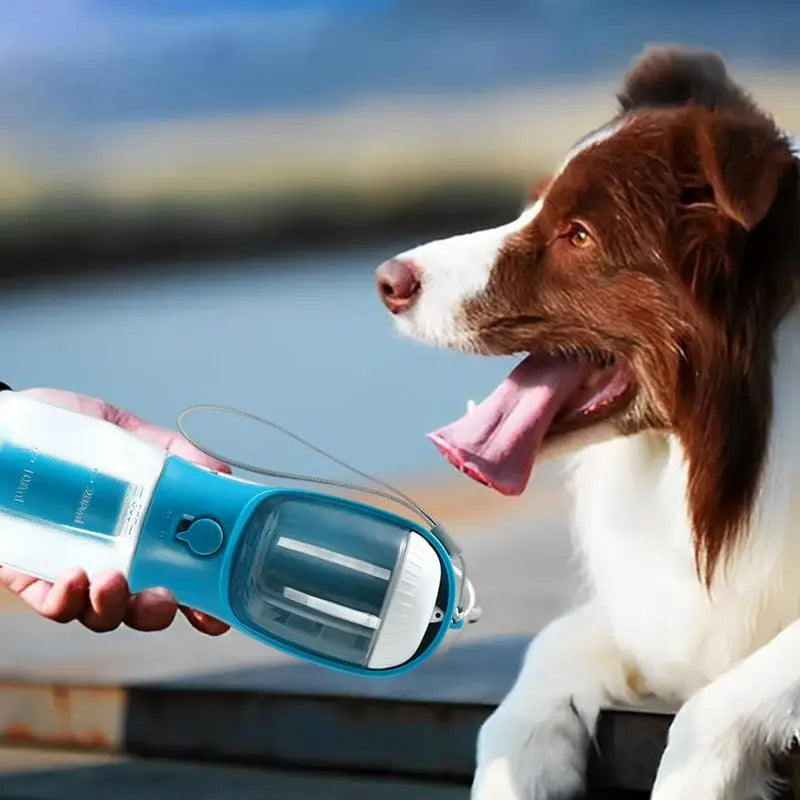 3-in-1 Portable Dog Water Cup with Food