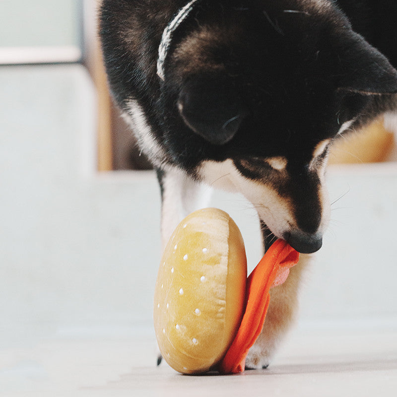Pet Sniffing & Educational Stress Relief Ball