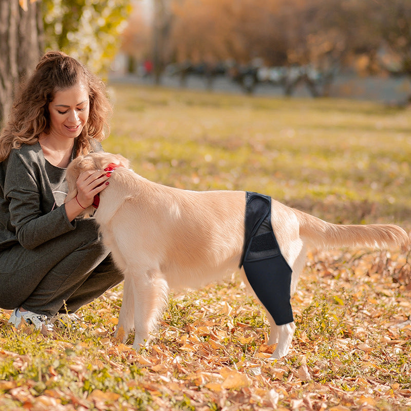 Adjustable Dog Knee Pads