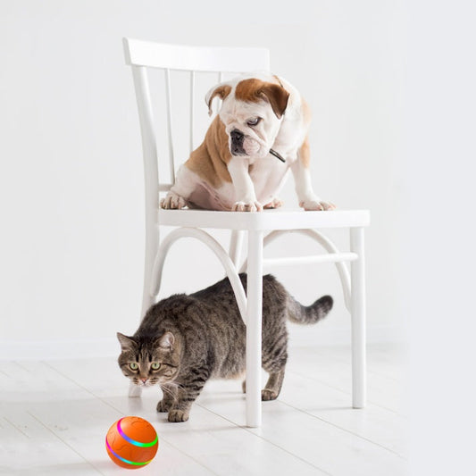 Automatic Self-Rotating USB Cat Toy