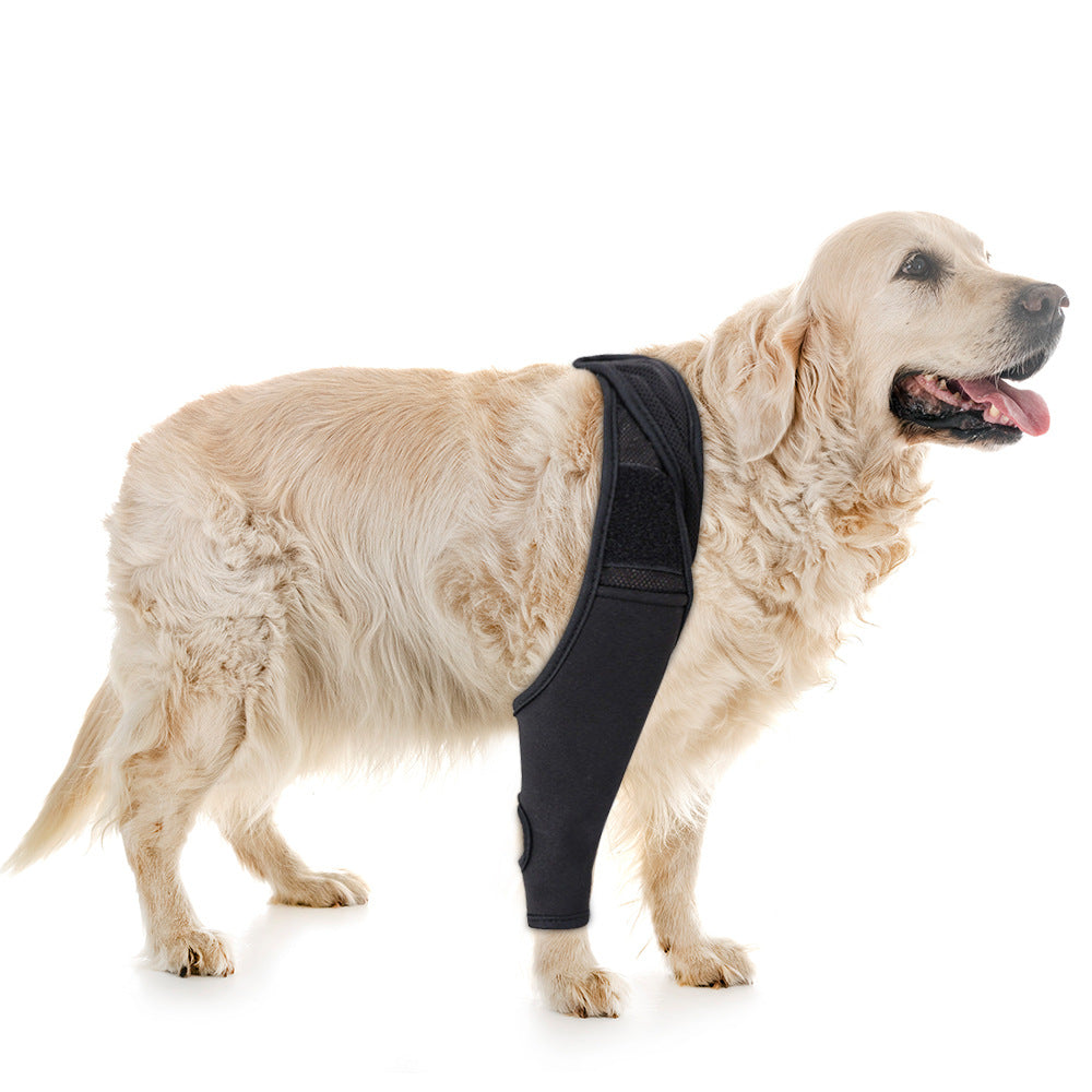 Adjustable Dog Knee Pads