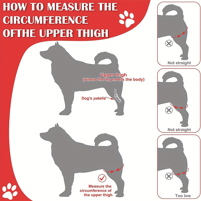 Adjustable Dog Knee Pads