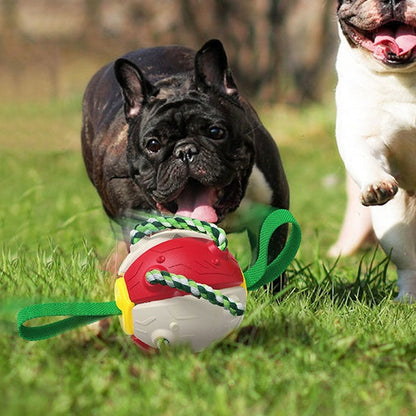 Interactive Dog Football Soccer Ball