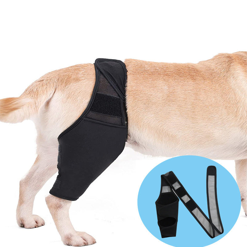 Adjustable Dog Knee Pads